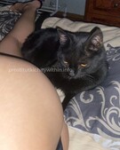 Анкета проститутки Лизочка - метро Кузьминки, возраст - 23